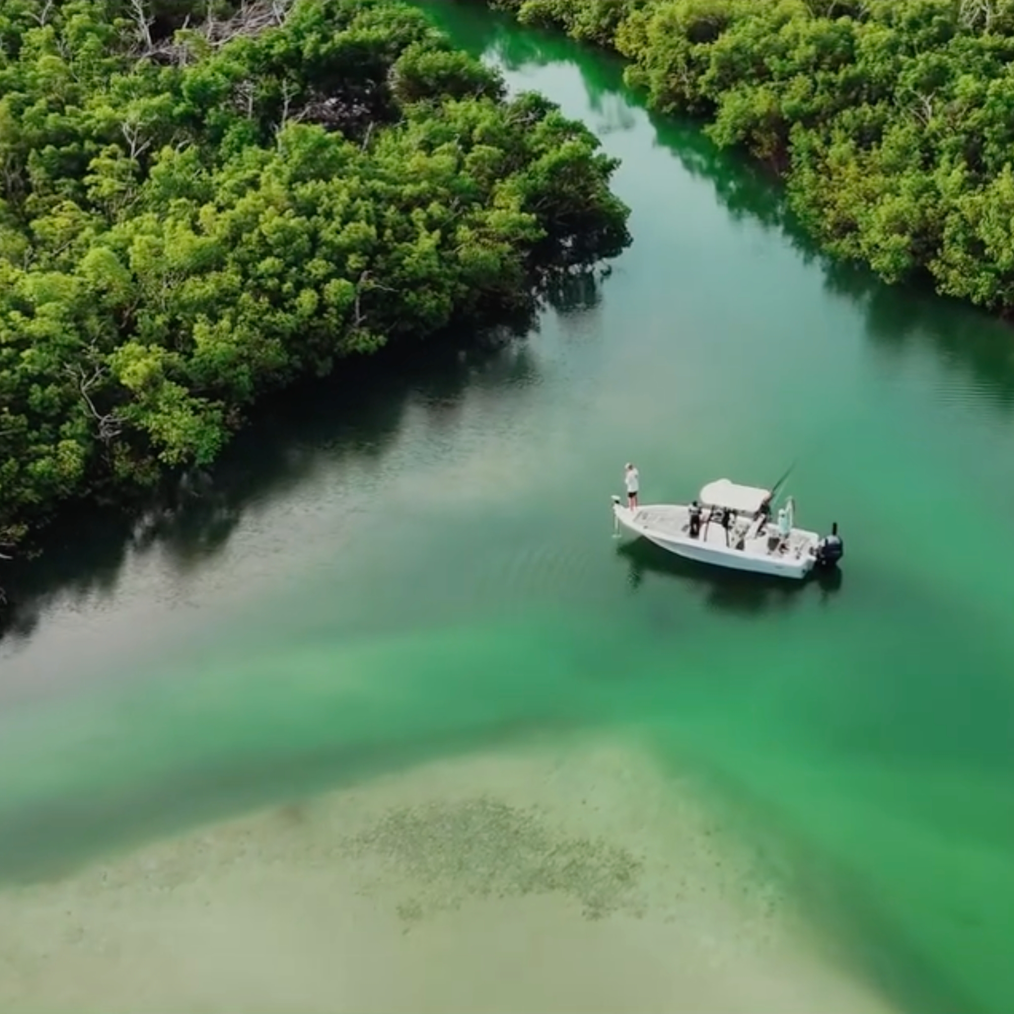 Untitled design - 2025-11-18T141944.097