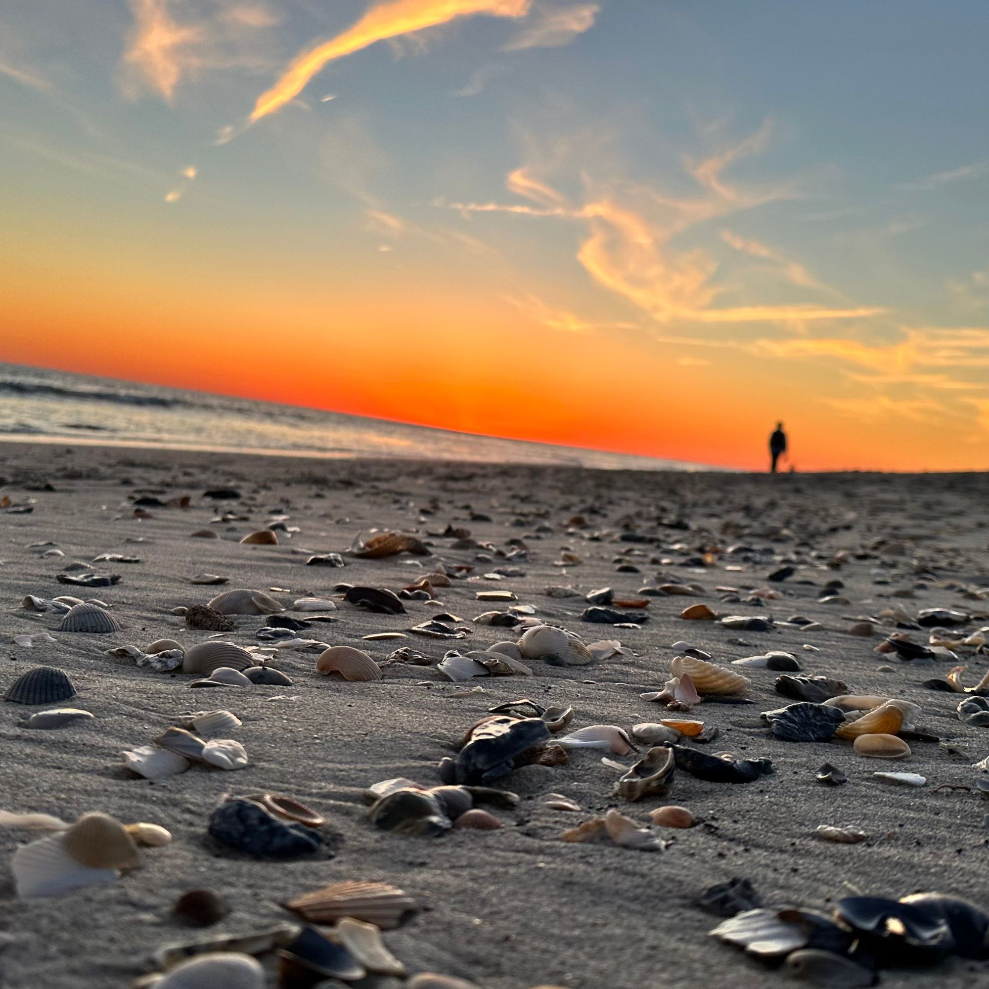 Untitled design - 2025-12-12T112557.219